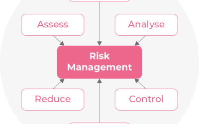 A diagram showing the various aspects of Risk Management