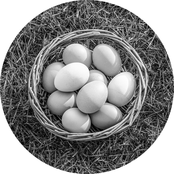 A basket of eggs